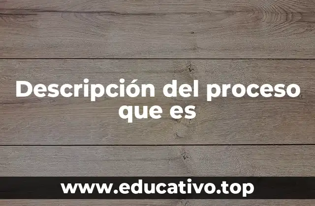 Descripción del proceso que es