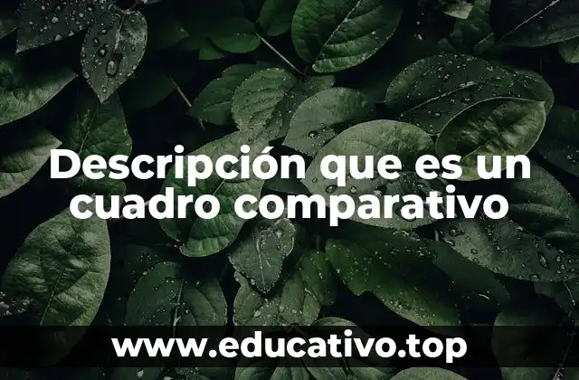 Descripción que es un cuadro comparativo