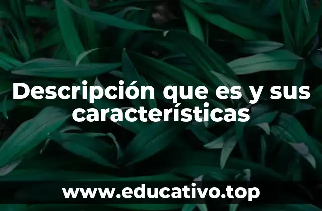Descripción que es y sus características