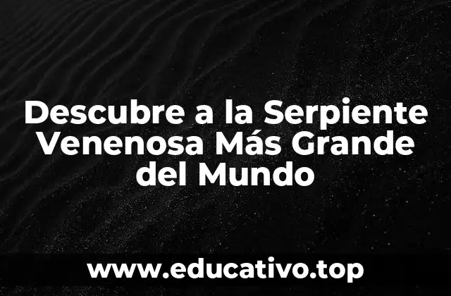 Descubre a la Serpiente Venenosa Más Grande del Mundo