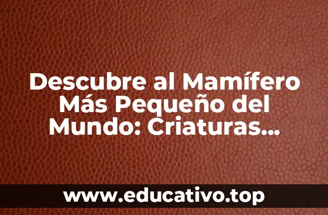 Descubre al Mamífero Más Pequeño del Mundo: Criaturas Sorprendentes