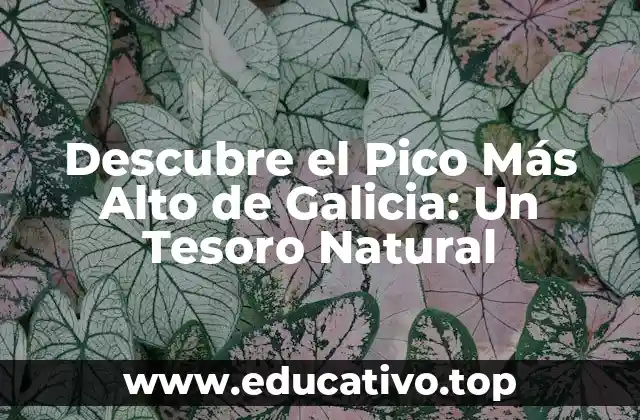 Descubre el Pico Más Alto de Galicia: Un Tesoro Natural