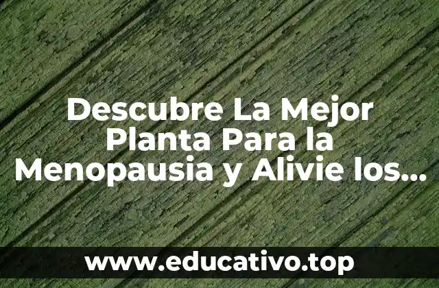 Descubre La Mejor Planta Para la Menopausia y Alivie los Síntomas
