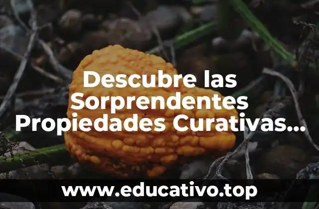 Descubre las Sorprendentes Propiedades Curativas de las Bayas de Goji