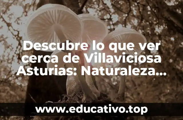 Descubre lo que ver cerca de Villaviciosa Asturias: Naturaleza, Cultura y Ocio