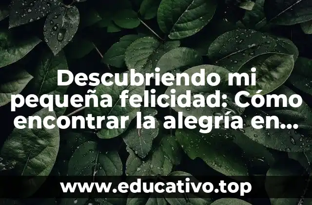 Descubriendo mi pequeña felicidad: Cómo encontrar la alegría en las cosas pequeñas