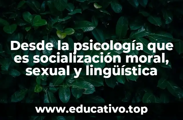 Desde la psicología que es socialización moral, sexual y lingüística