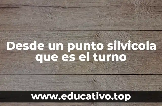 Desde un punto silvicola que es el turno