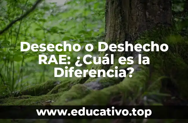 Desecho o Deshecho RAE: ¿Cuál es la Diferencia?