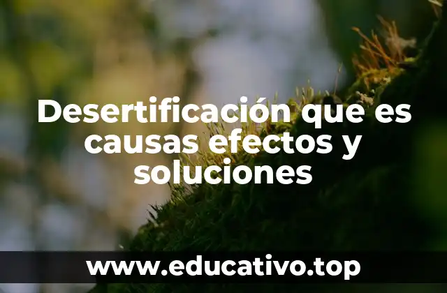 Desertificación que es causas efectos y soluciones