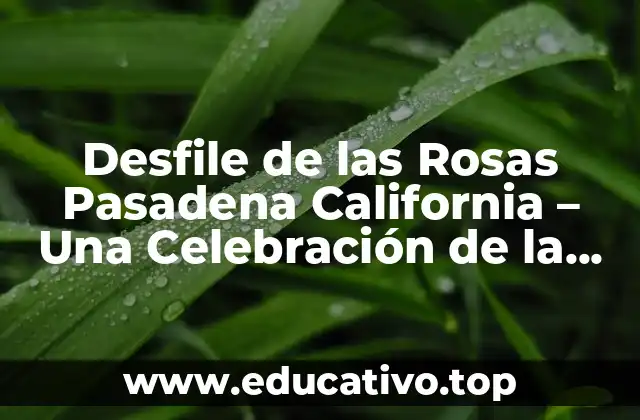 Desfile de las Rosas Pasadena California – Una Celebración de la Belleza y la Tradición