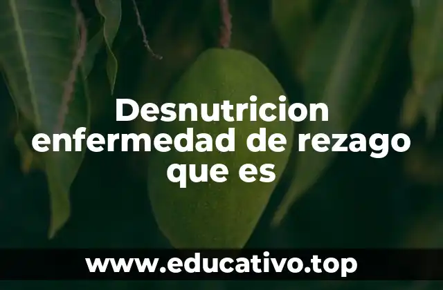 Desnutricion enfermedad de rezago que es