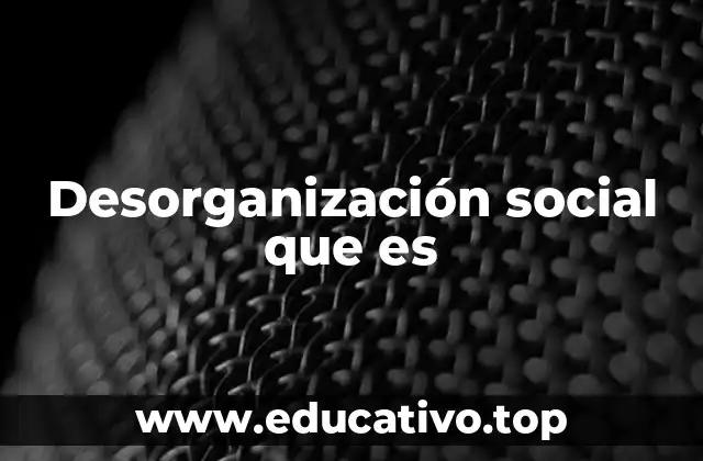 Desorganización social que es