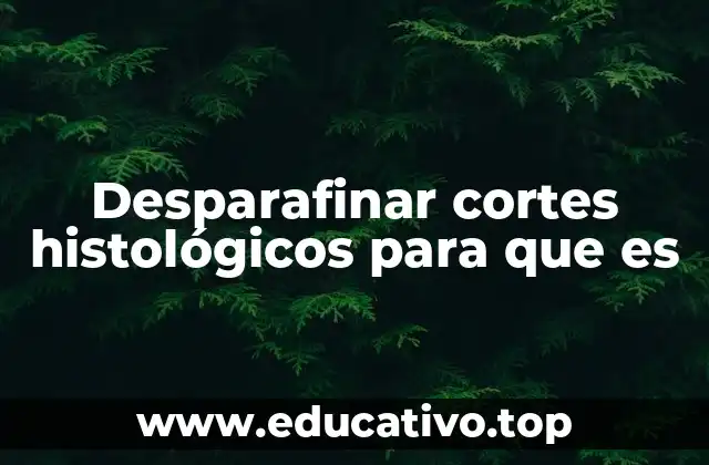 Desparafinar cortes histológicos para que es