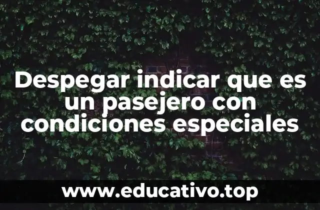 La importancia de comunicar necesidades especiales antes del despegue