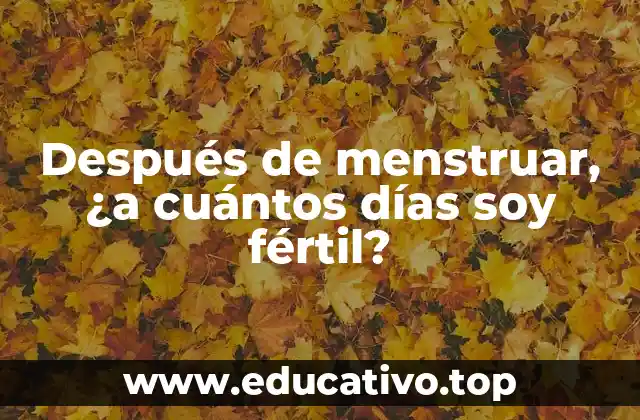 Después de menstruar, ¿a cuántos días soy fértil?