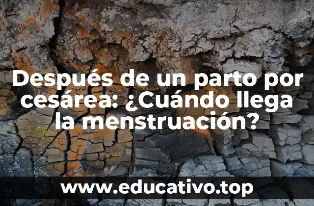 Después de un parto por cesárea: ¿Cuándo llega la menstruación?