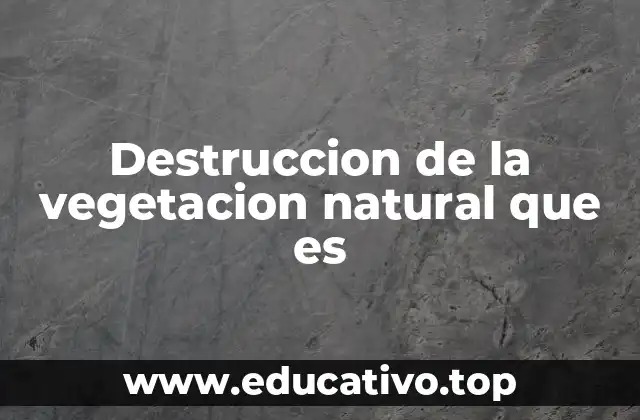 Destruccion de la vegetacion natural que es