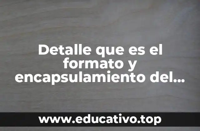 Detalle que es el formato y encapsulamiento del mensaje