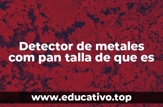 Detector de metales com pan talla de que es