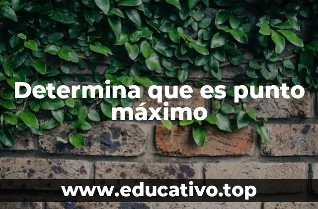 Determina que es punto máximo