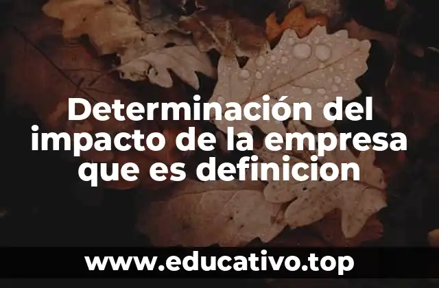 Determinación del impacto de la empresa que es definicion