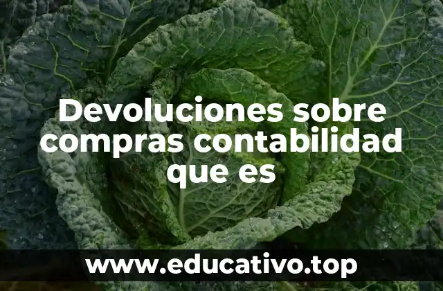 Devoluciones sobre compras contabilidad que es