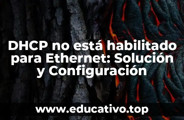 DHCP no está habilitado para Ethernet: Solución y Configuración