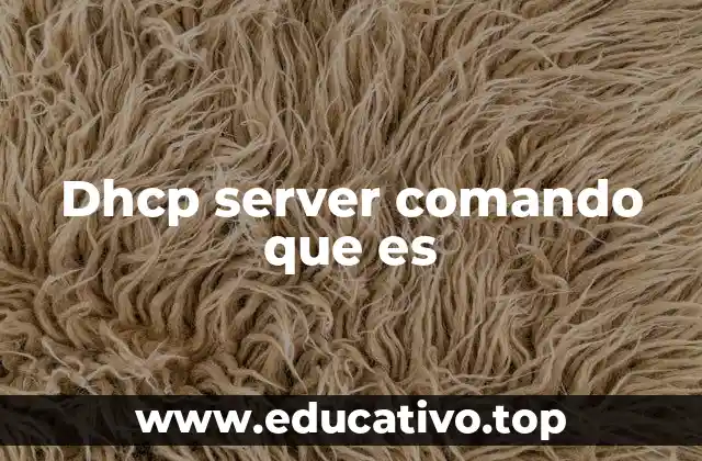 Dhcp server comando que es