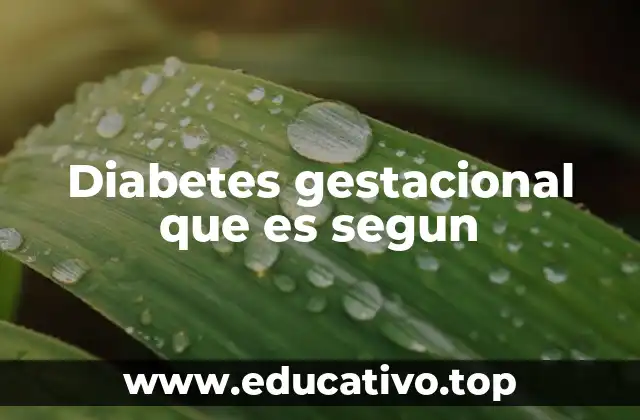Diabetes gestacional que es segun