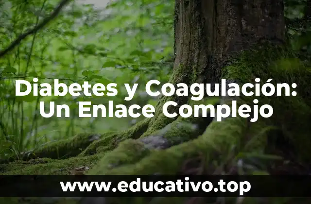 Diabetes y Coagulación: Un Enlace Complejo