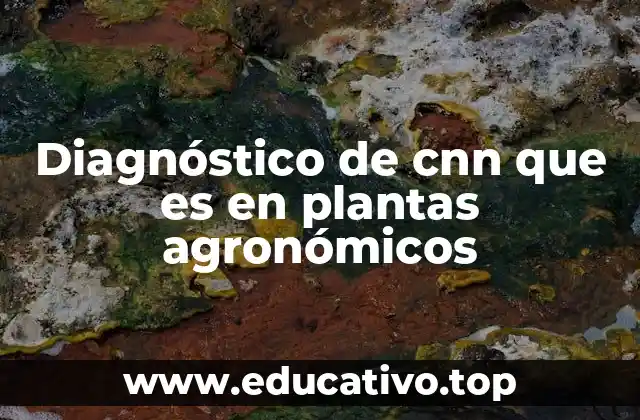 Diagnóstico de cnn que es en plantas agronómicos