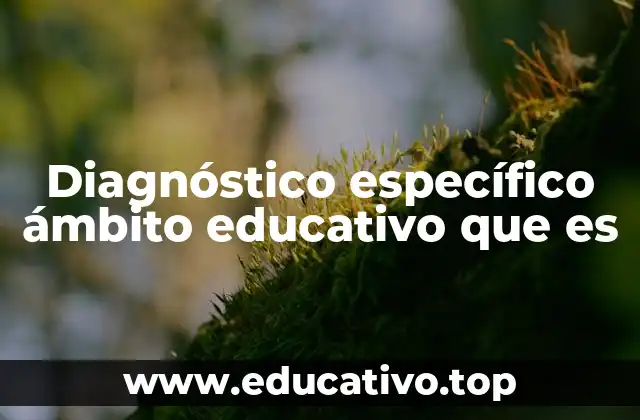 Diagnóstico específico ámbito educativo que es