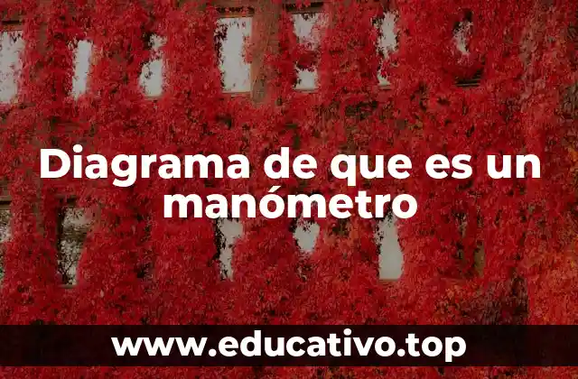 Diagrama de que es un manómetro