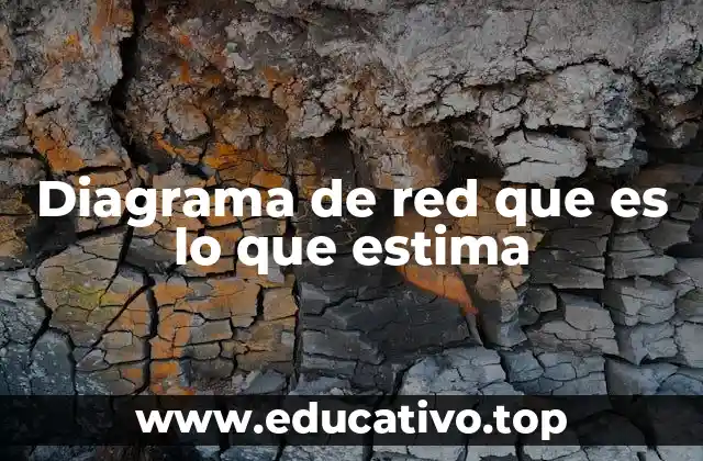 Diagrama de red que es lo que estima