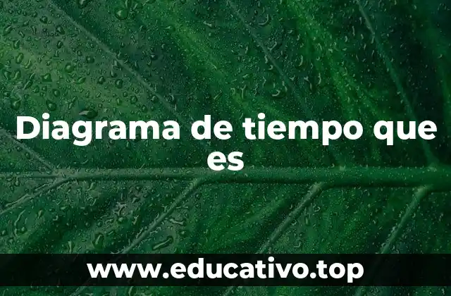 Diagrama de tiempo que es