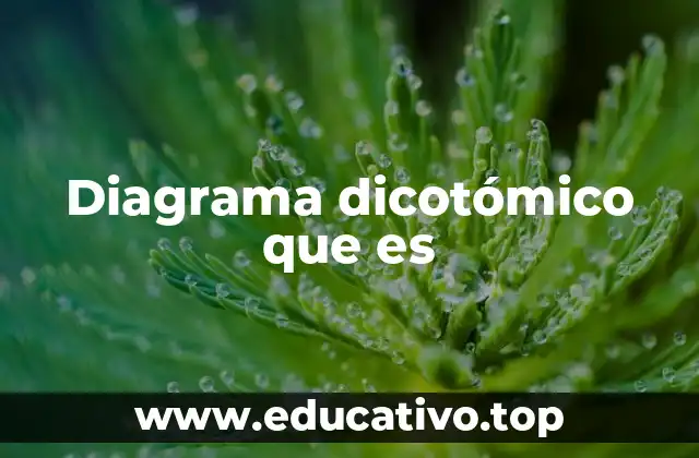 Diagrama dicotómico que es
