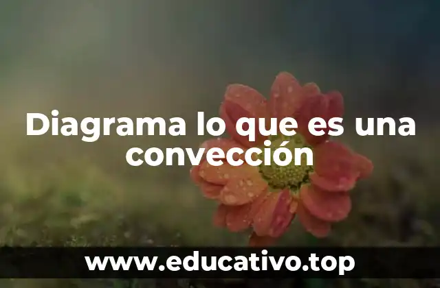 Diagrama lo que es una convección