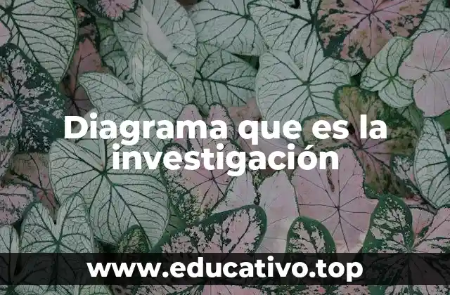 La importancia de visualizar el proceso investigativo