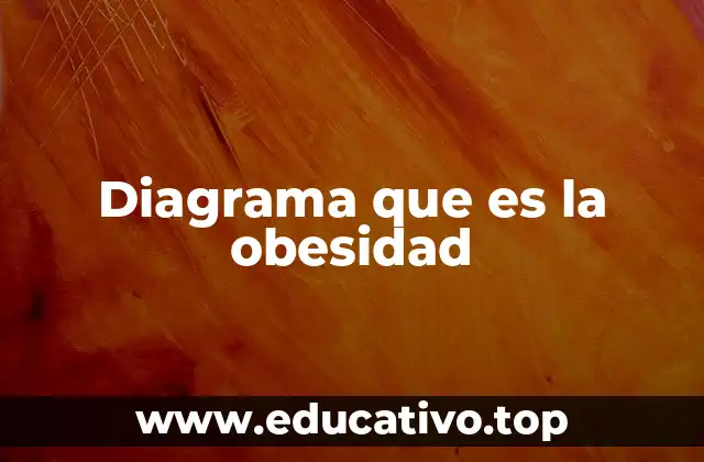 Diagrama que es la obesidad