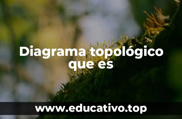 Diagrama topológico que es