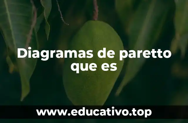 Diagramas de paretto que es