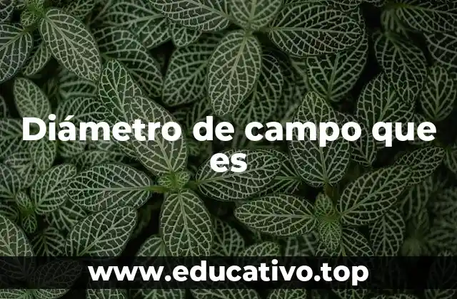 Diámetro de campo que es