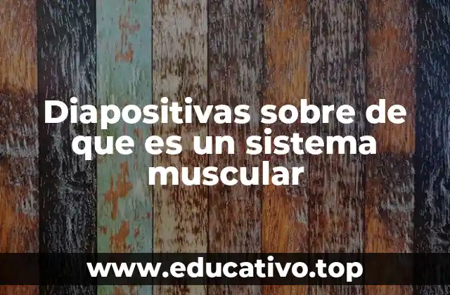 Diapositivas sobre de que es un sistema muscular