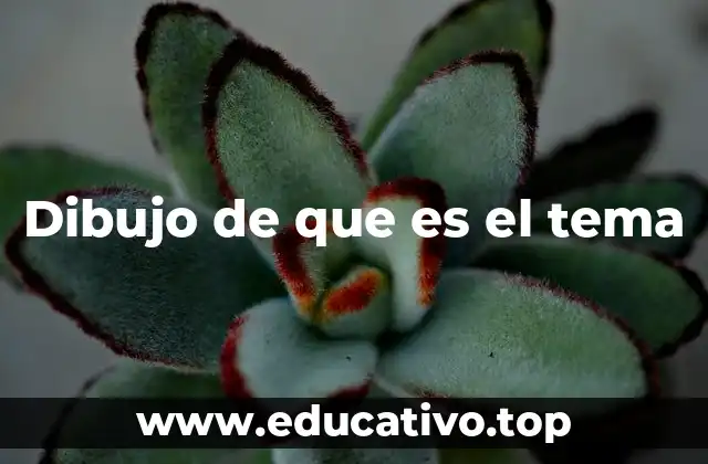 Dibujo de que es el tema