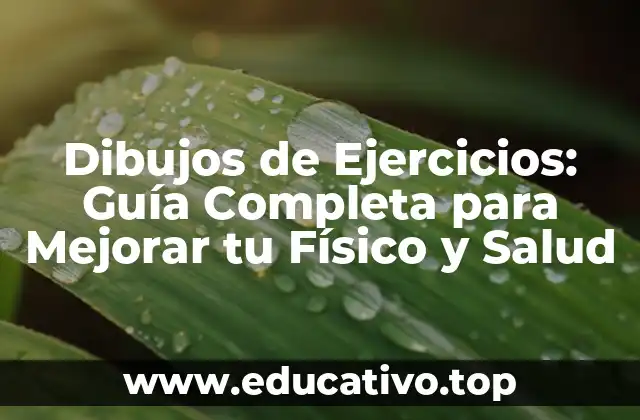 Dibujos de Ejercicios: Guía Completa para Mejorar tu Físico y Salud