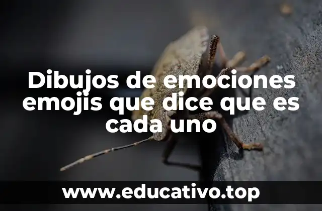 Dibujos de emociones emojis que dice que es cada uno