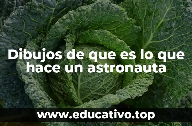 Dibujos de que es lo que hace un astronauta
