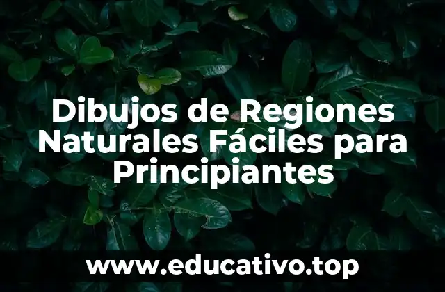 Dibujos de Regiones Naturales Fáciles para Principiantes