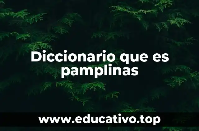 Diccionario que es pamplinas